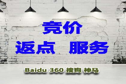 案例解析：SEM竞价策略优化技巧